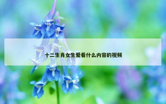 十二生肖女生爱看什么内容的视频