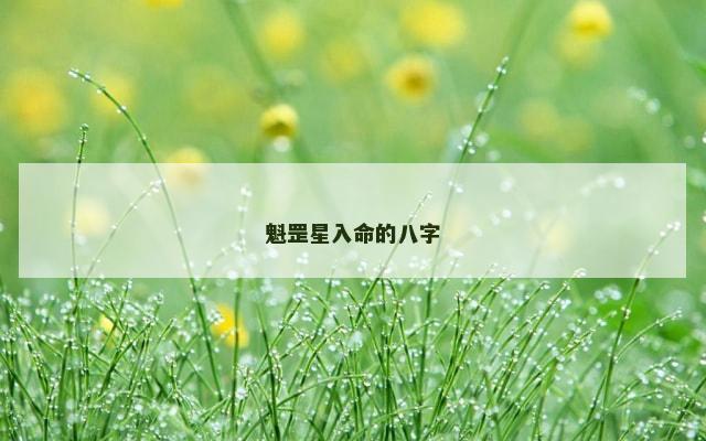 魁罡星入命的八字