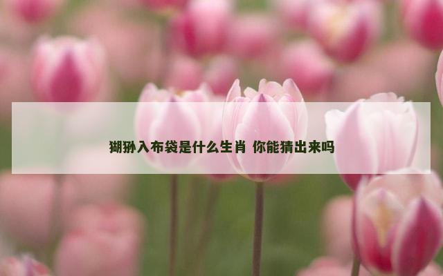 猢狲入布袋是什么生肖 你能猜出来吗