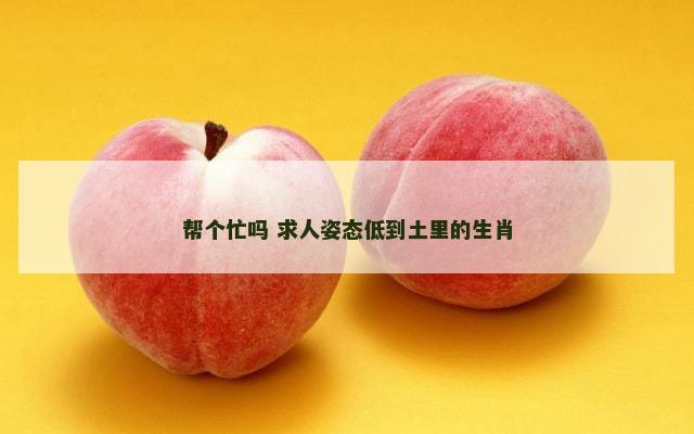 帮个忙吗 求人姿态低到土里的生肖