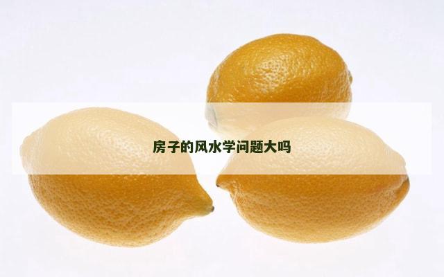 房子的风水学问题大吗