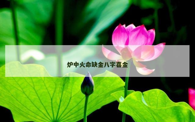 炉中火命缺金八字喜金