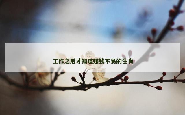 工作之后才知道赚钱不易的生肖