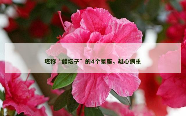 堪称“醋坛子”的4个星座，疑心病重