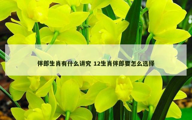 伴郎生肖有什么讲究 12生肖伴郎要怎么选择