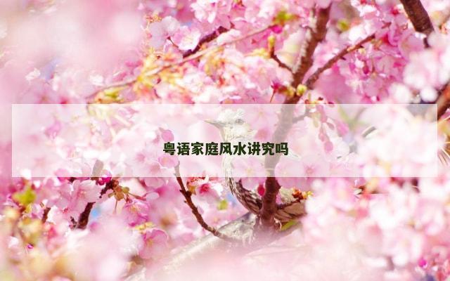 粤语家庭风水讲究吗