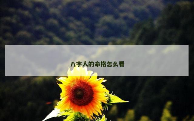 八字人的命格怎么看