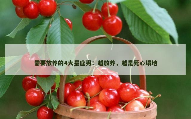 需要放养的4大星座男：越放养，越是死心塌地