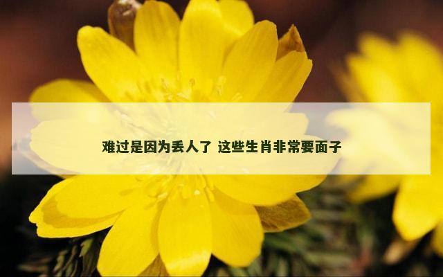 难过是因为丢人了 这些生肖非常要面子