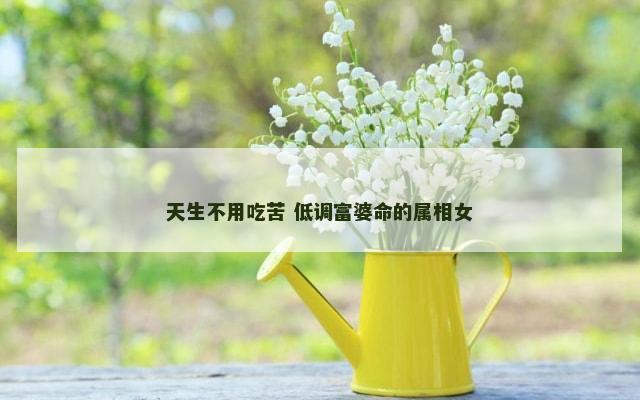 天生不用吃苦 低调富婆命的属相女
