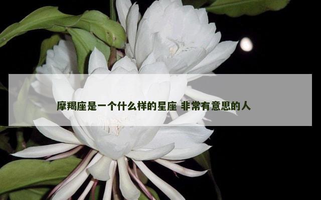 摩羯座是一个什么样的星座 非常有意思的人 　　