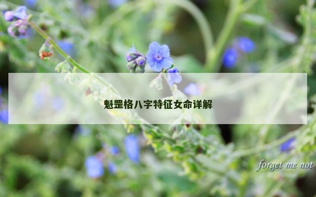 魁罡格八字特征女命详解
