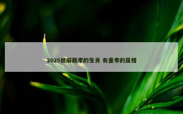 2025披麻戴孝的生肖 有重孝的属相