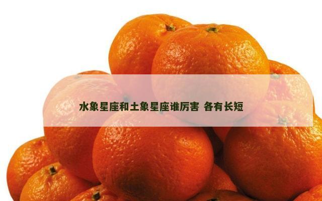 水象星座和土象星座谁厉害 各有长短