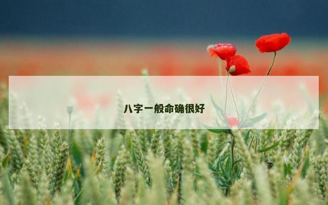 八字一般命确很好