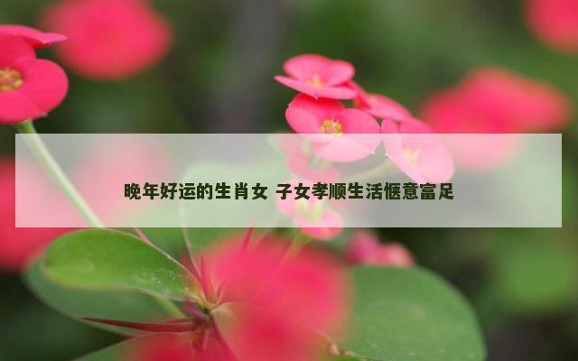 晚年好运的生肖女 子女孝顺生活惬意富足