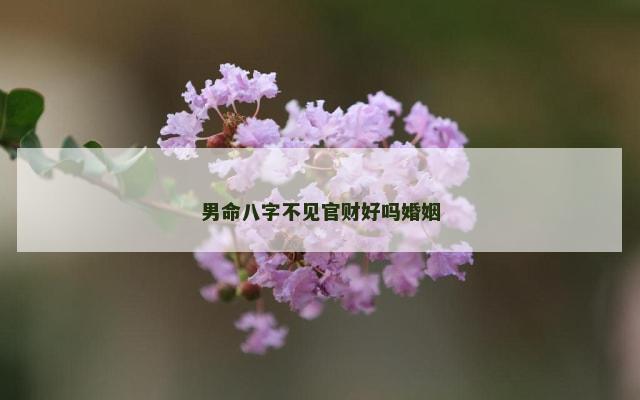 男命八字不见官财好吗婚姻