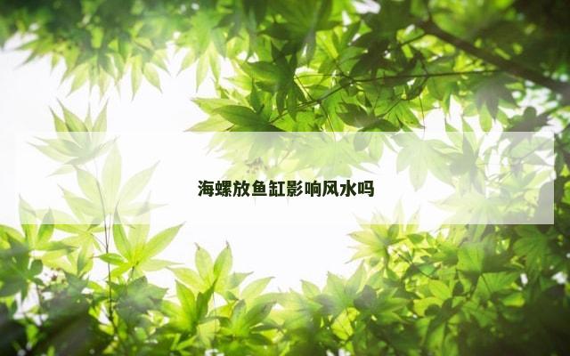 海螺放鱼缸影响风水吗