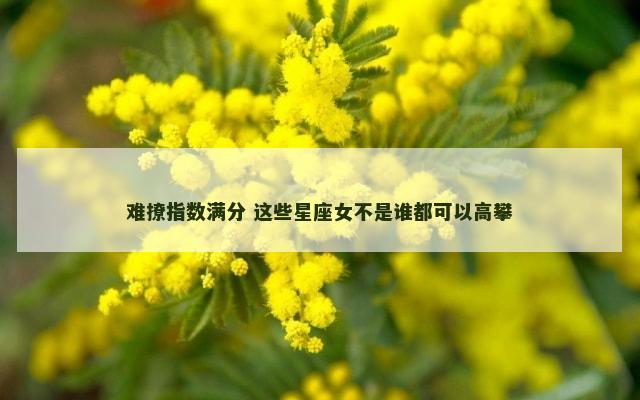 难撩指数满分 这些星座女不是谁都可以高攀