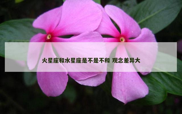 火星座和水星座是不是不和 观念差异大