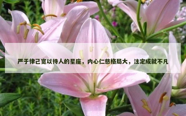 严于律己宽以待人的星座，内心仁慈格局大，注定成就不凡