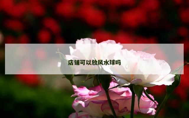 店铺可以放风水球吗