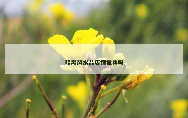 暗黑风水晶店铺推荐吗