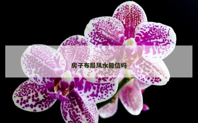 房子布局风水能信吗