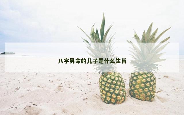 八字男命的儿子是什么生肖
