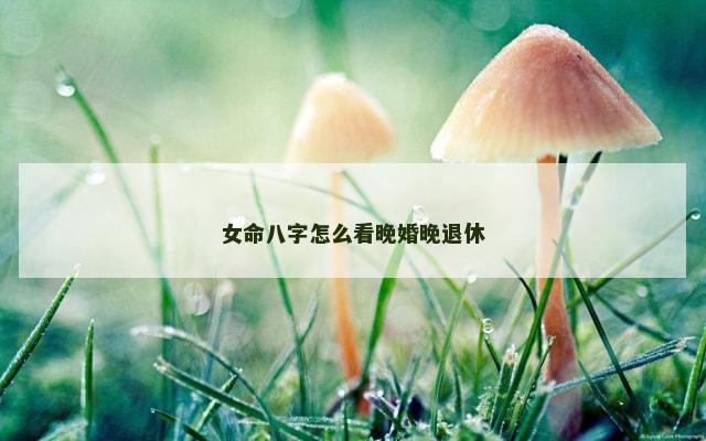 女命八字怎么看晚婚晚退休