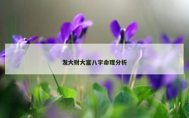 发大财大富八字命理分析