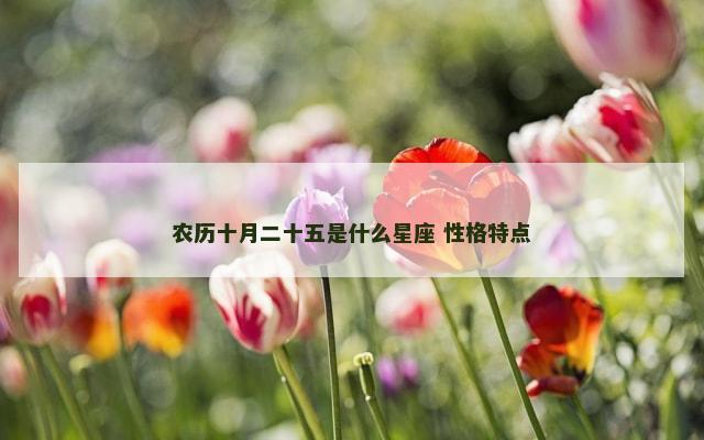 农历十月二十五是什么星座 性格特点