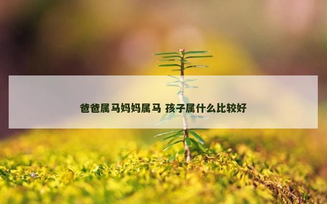 爸爸属马妈妈属马 孩子属什么比较好