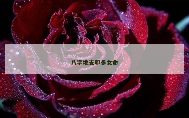 八字地支卯多女命