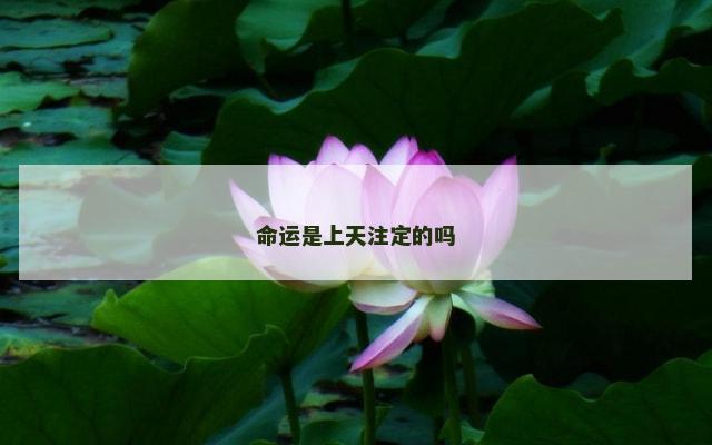 命运是上天注定的吗