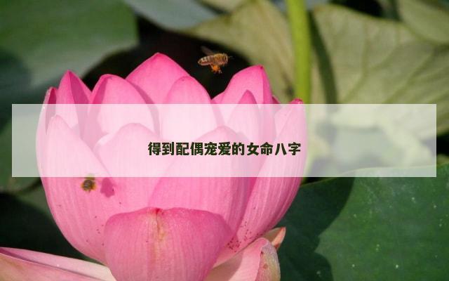 得到配偶宠爱的女命八字