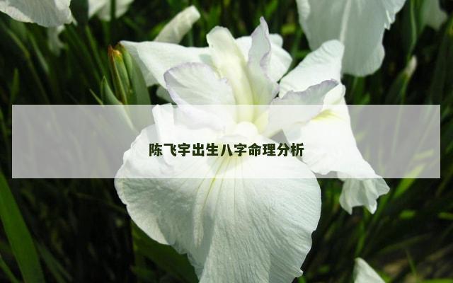 陈飞宇出生八字命理分析