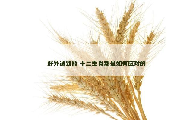 野外遇到熊 十二生肖都是如何应对的