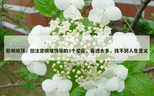聪明绝顶，但注定很难快乐的3个星座，看透太多，找不到人生意义