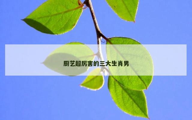 厨艺超厉害的三大生肖男