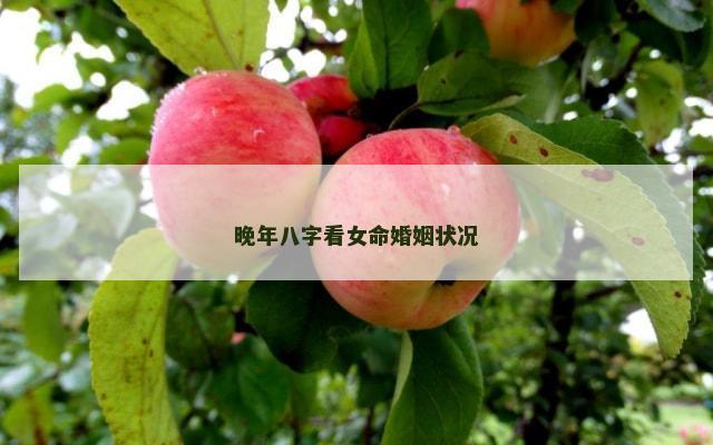 晚年八字看女命婚姻状况