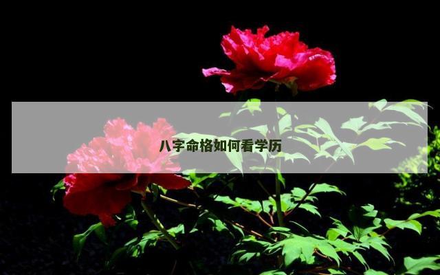 八字命格如何看学历