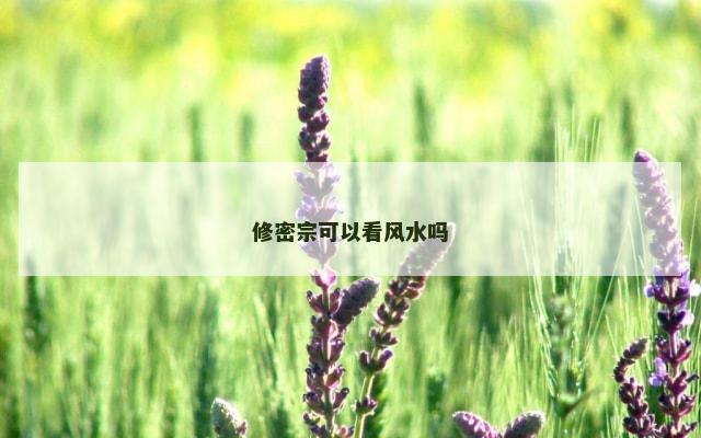 修密宗可以看风水吗