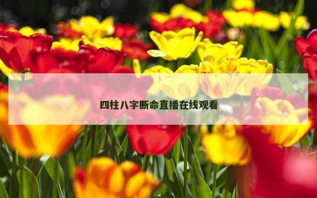 四柱八字断命直播在线观看