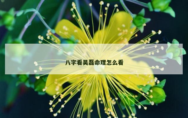 八字看吴磊命理怎么看
