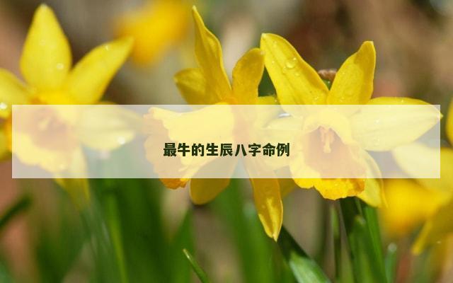 最牛的生辰八字命例