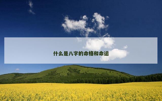 什么是八字的命格和命运
