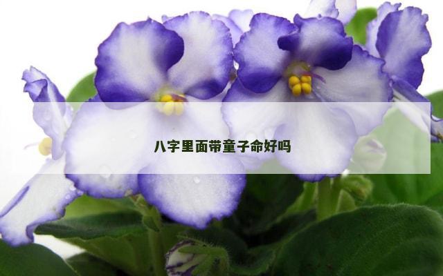 八字里面带童子命好吗