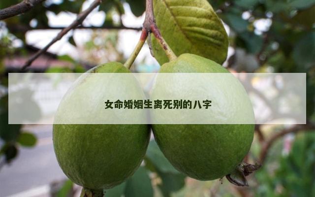 女命婚姻生离死别的八字