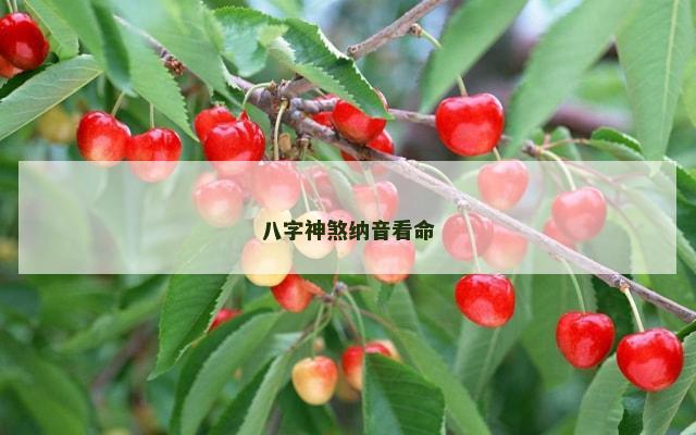 八字神煞纳音看命
